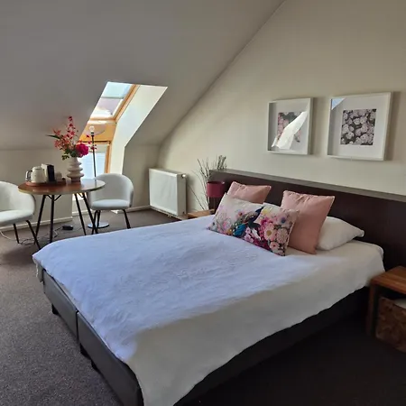 Boutique Hotel De Raetskamer-3
